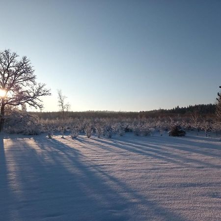 L'Antre Parenthese Villa Grand-Halleux Kültér fotó