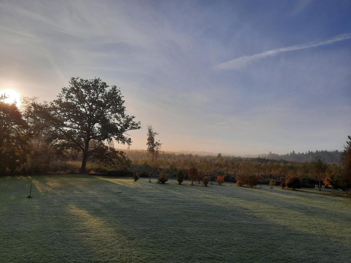 L'Antre Parenthese Villa Grand-Halleux Kültér fotó